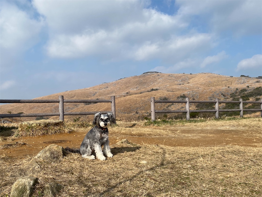 f:id:reiapapa:20240106210336j:image