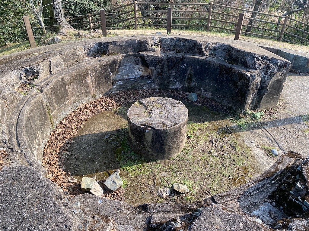 f:id:reiapapa:20240116123404j:image