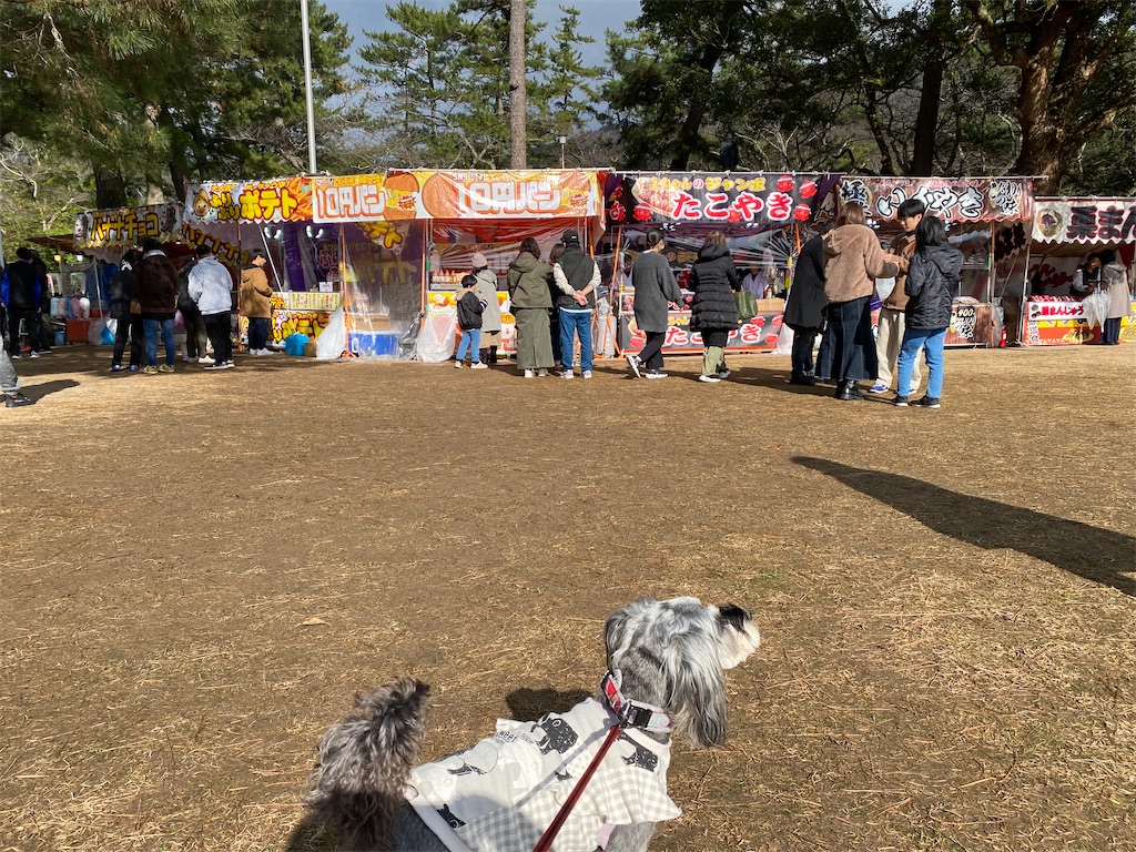 f:id:reiapapa:20240124090247j:image