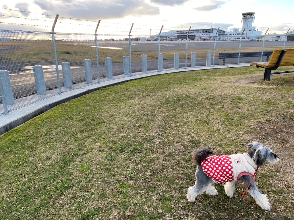 f:id:reiapapa:20240124092857j:image