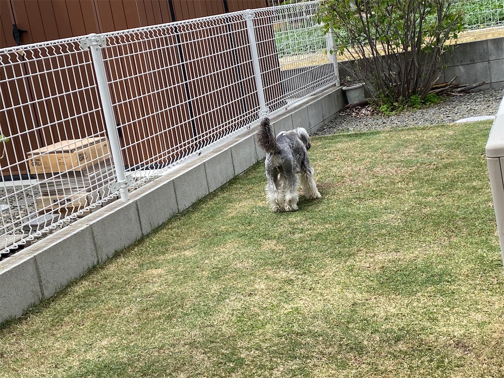 f:id:reiapapa:20240420140818j:image