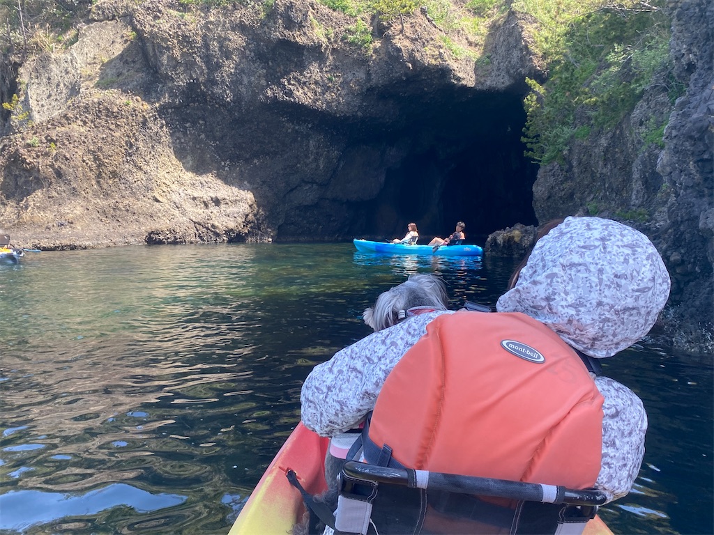 f:id:reiapapa:20240430063359j:image