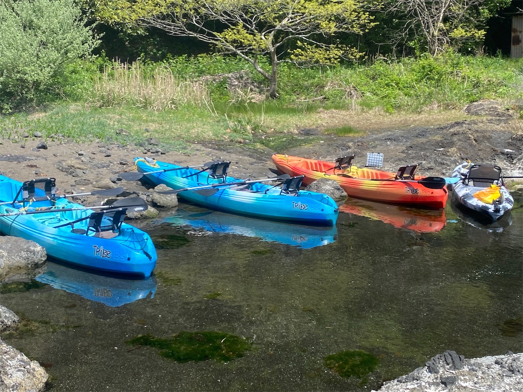 f:id:reiapapa:20240501180252j:image