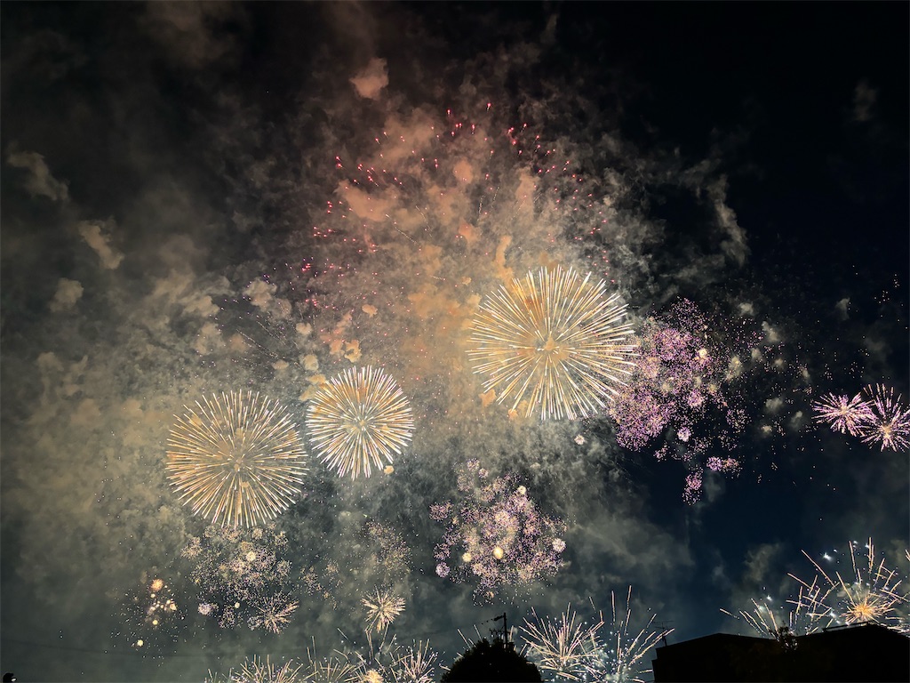 f:id:reiapapa:20240811160837j:image