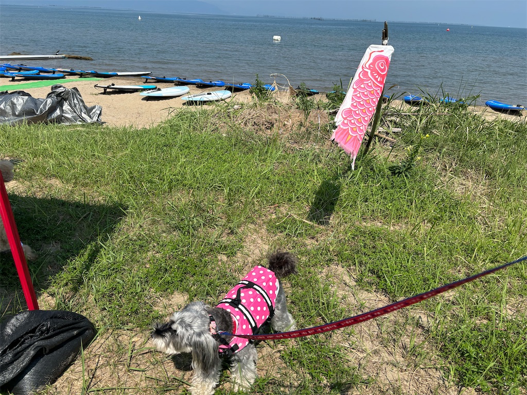 f:id:reiapapa:20240909104900j:image