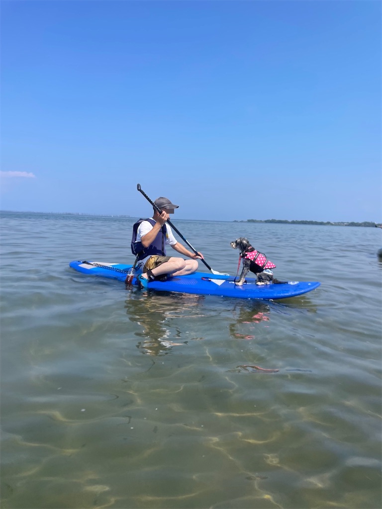 f:id:reiapapa:20240909163945j:image