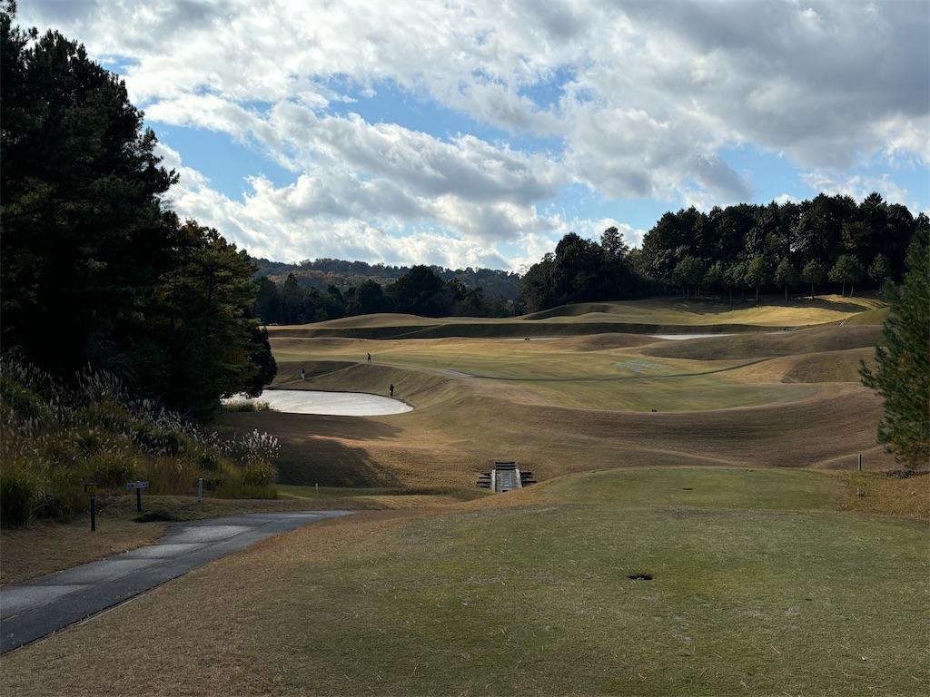 f:id:reiapapa:20241130105032j:image