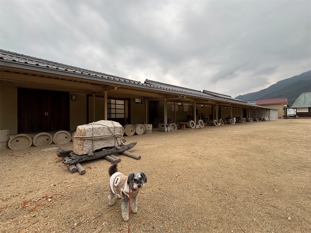 f:id:reiapapa:20250101171345j:image