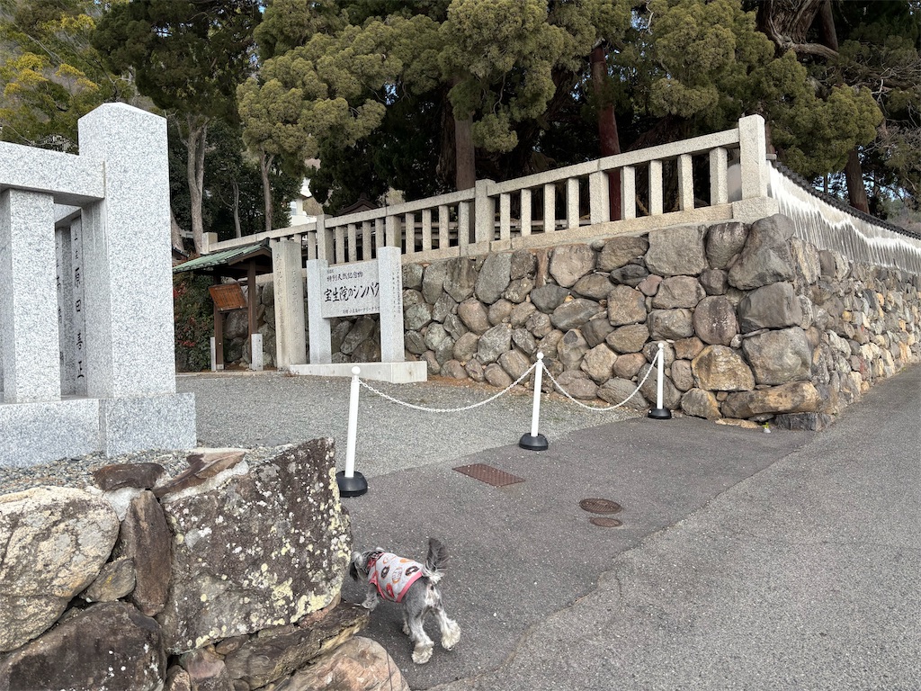 f:id:reiapapa:20250102164139j:image