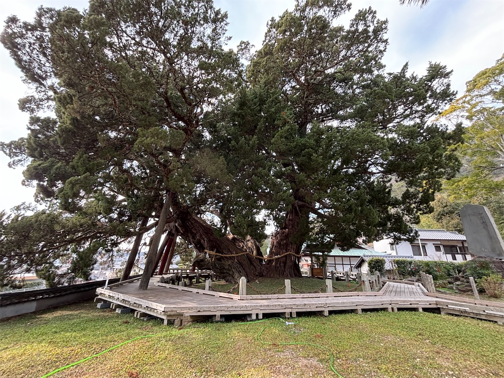 f:id:reiapapa:20250102164401j:image