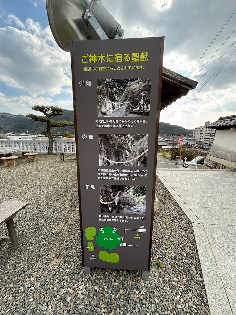 f:id:reiapapa:20250102164529j:image