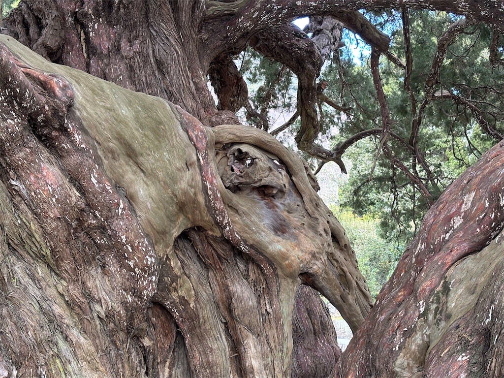 f:id:reiapapa:20250102164747j:image