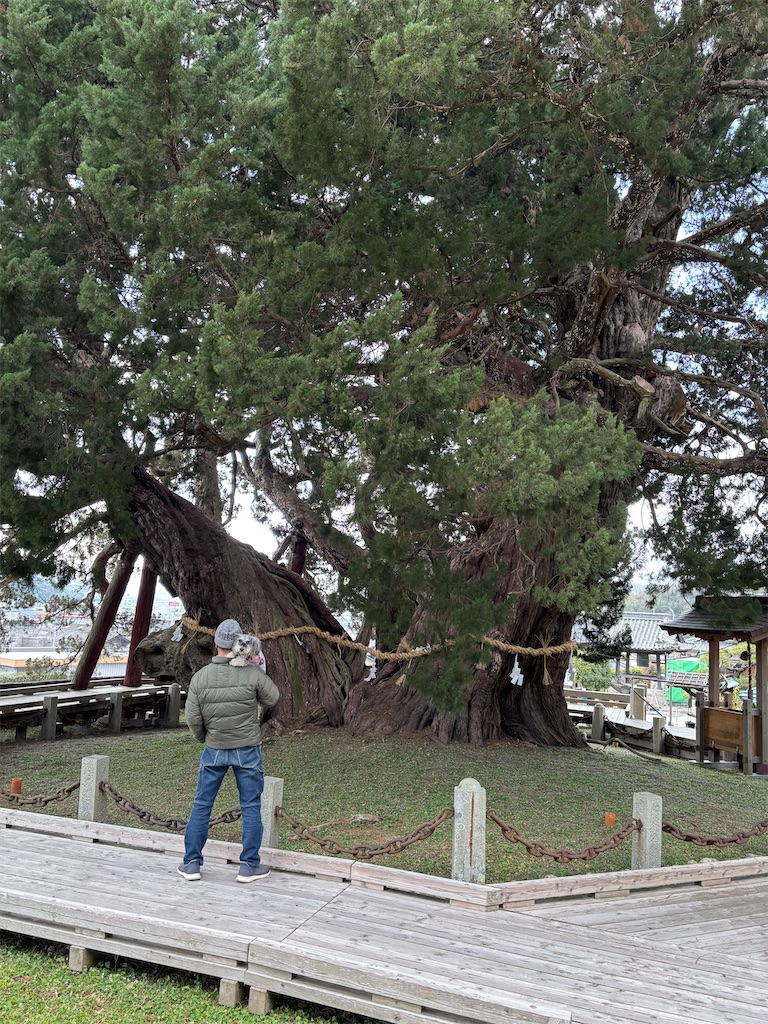 f:id:reiapapa:20250102165259j:image