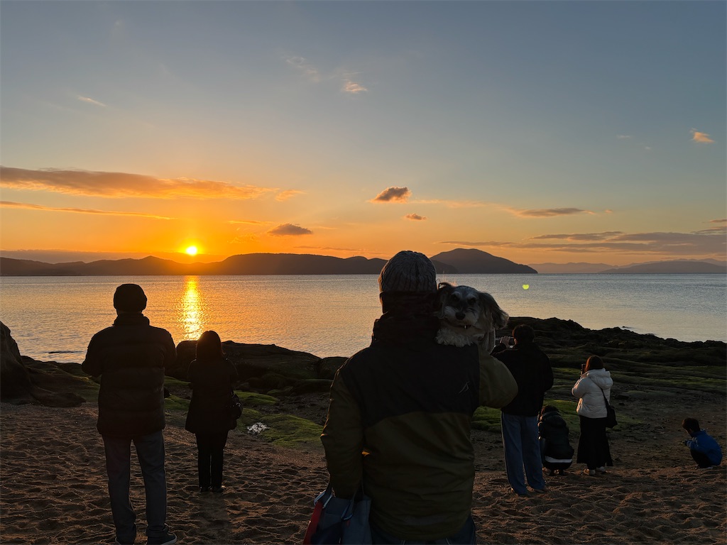 f:id:reiapapa:20250113211529j:image