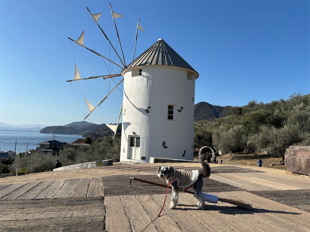 f:id:reiapapa:20250113214317j:image