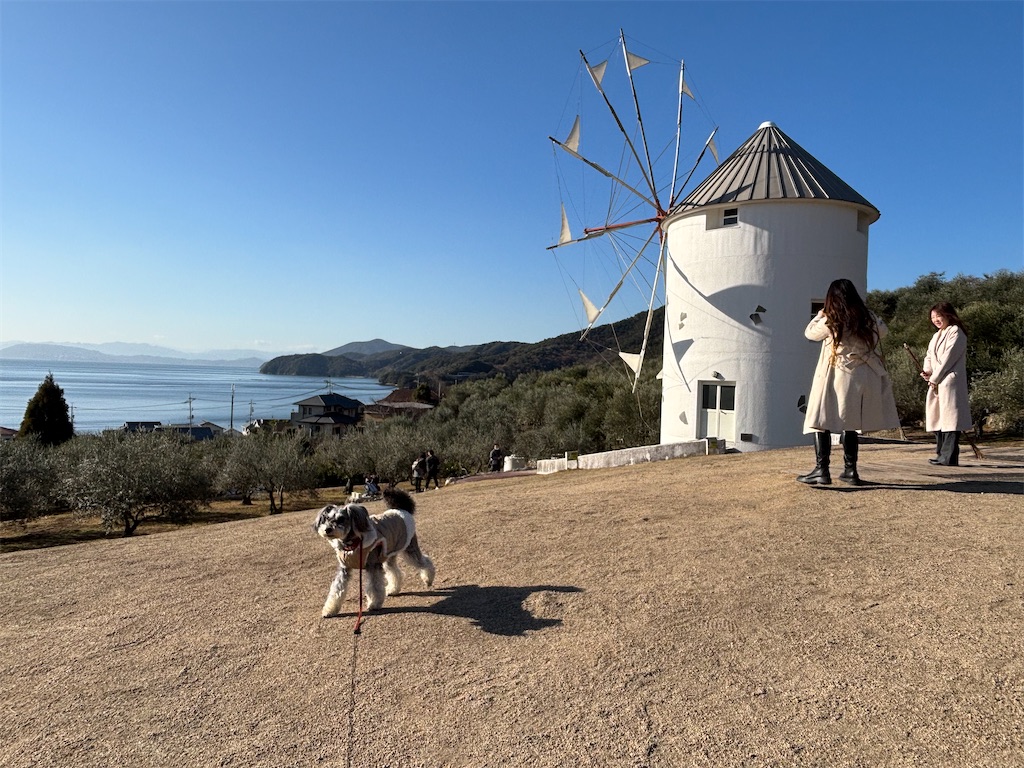 f:id:reiapapa:20250113214321j:image