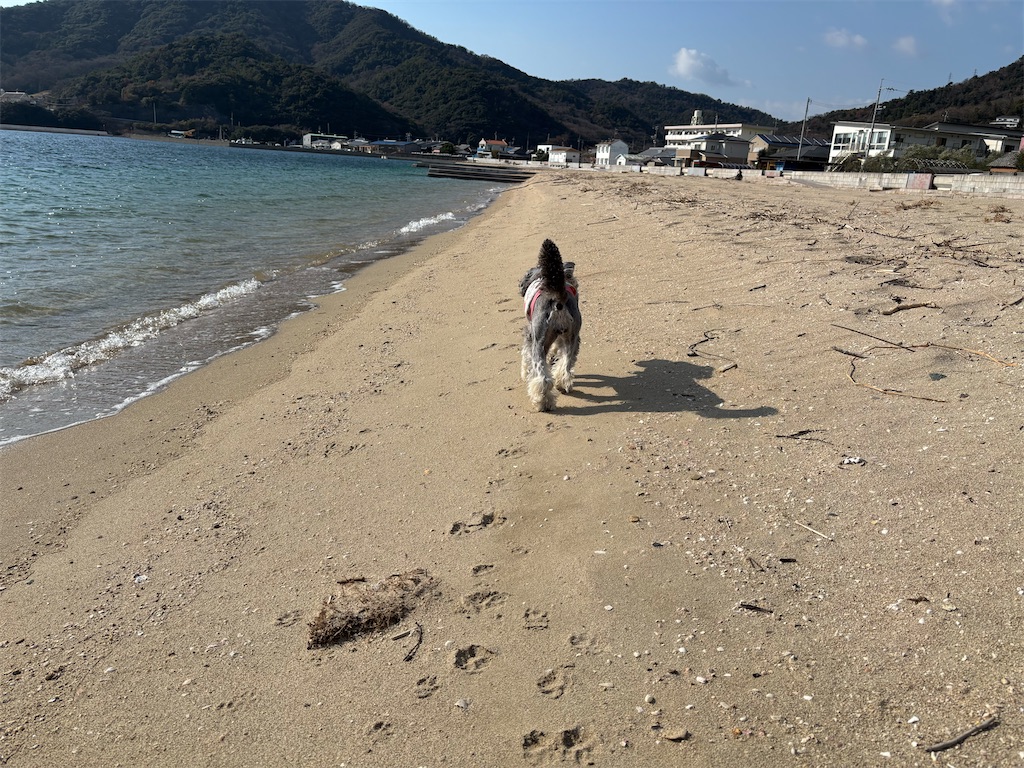 f:id:reiapapa:20250119174331j:image