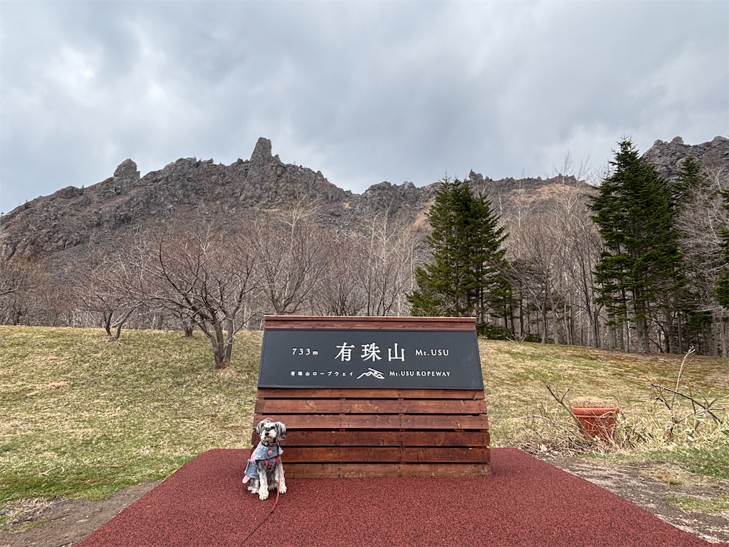 f:id:reiapapa:20250426214129j:image