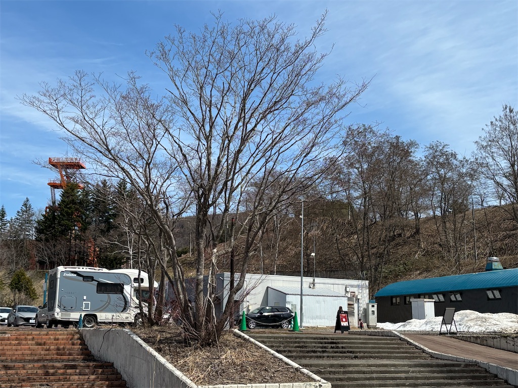 f:id:reiapapa:20250503091343j:image f:id:reiapapa:20250503091343j:image