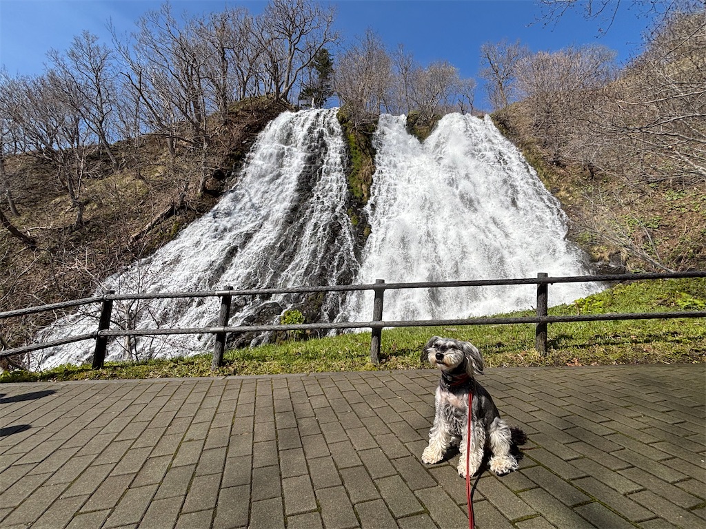 f:id:reiapapa:20250504210307j:image f:id:reiapapa:20250504210307j:image