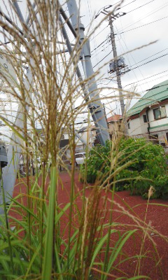イメージ 5