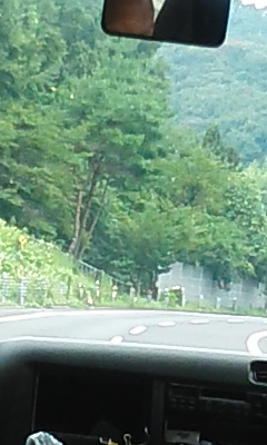 f:id:reiayaato:20190909001137j:plain