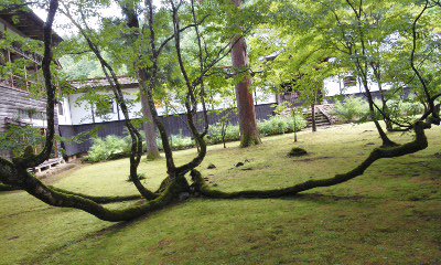 f:id:reiayaato:20190924011815j:plain