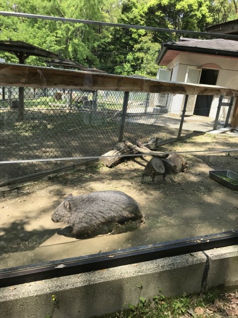 f:id:reibre-local:20180604222314j:image f:id:reibre-local:20180604222314j:image