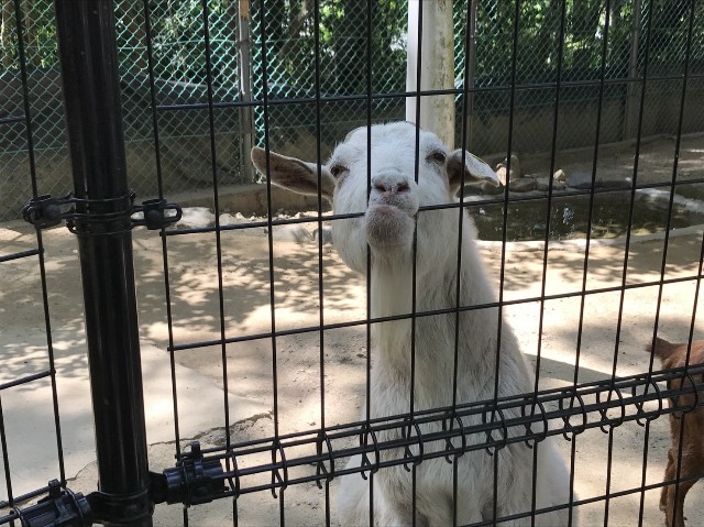 f:id:reibre-local:20180605094310j:image f:id:reibre-local:20180605094310j:image