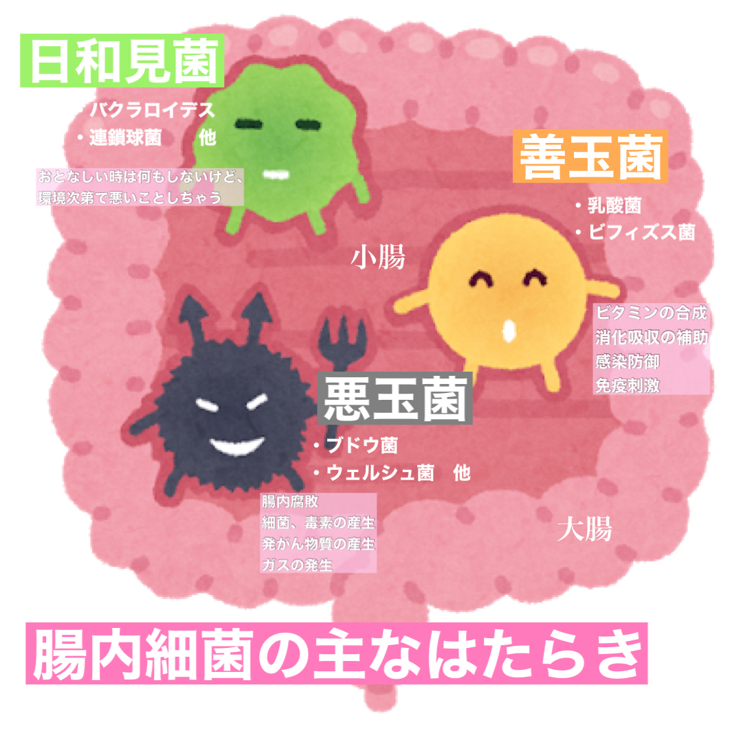 f:id:reichasos:20210406145738j:plain