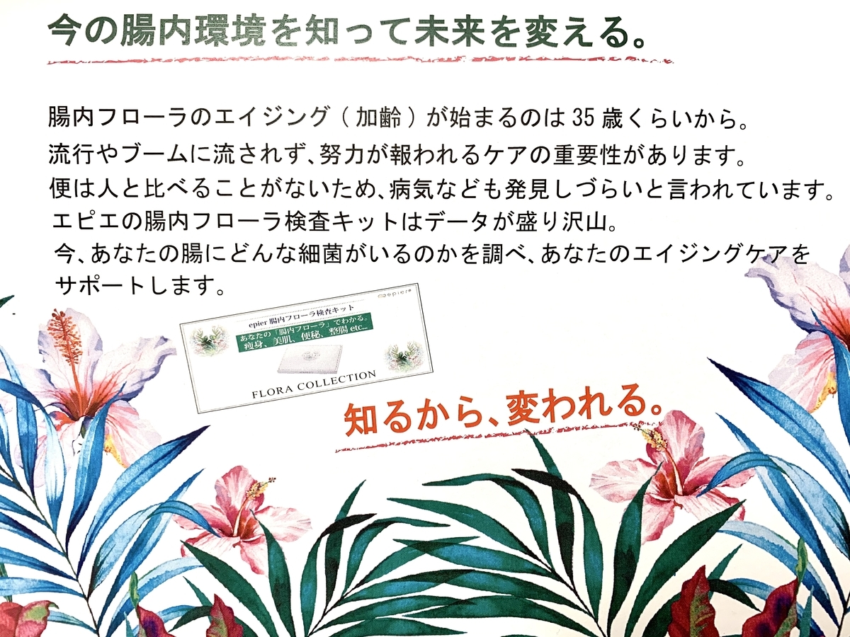 f:id:reichasos:20210406163835j:plain