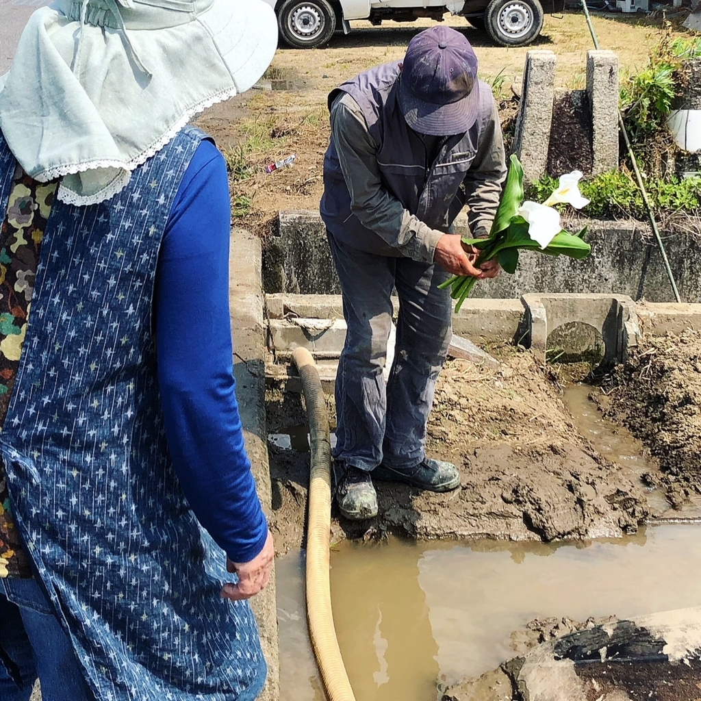 f:id:reicome:20180505195241j:plain f:id:reicome:20180505195241j:plain