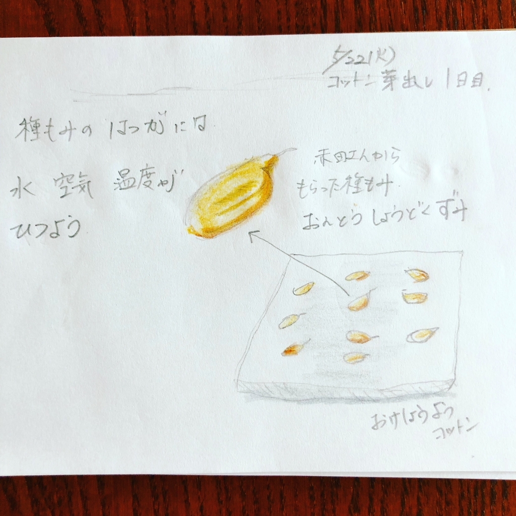 f:id:reicome:20180525181139j:plain f:id:reicome:20180525181139j:plain