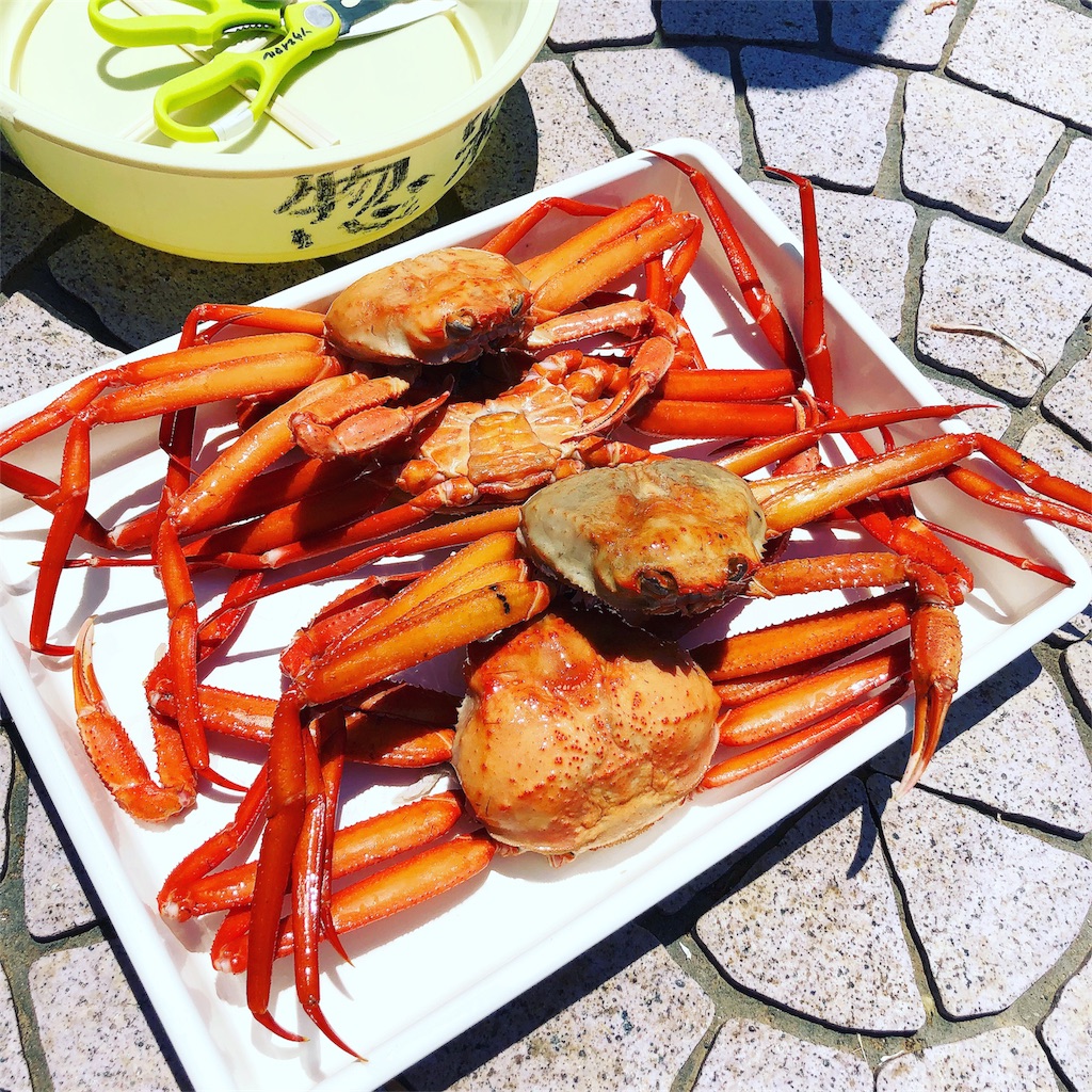 f:id:reicome:20180627183413j:image