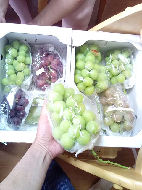 f:id:reihou19:20200918213924j:plain