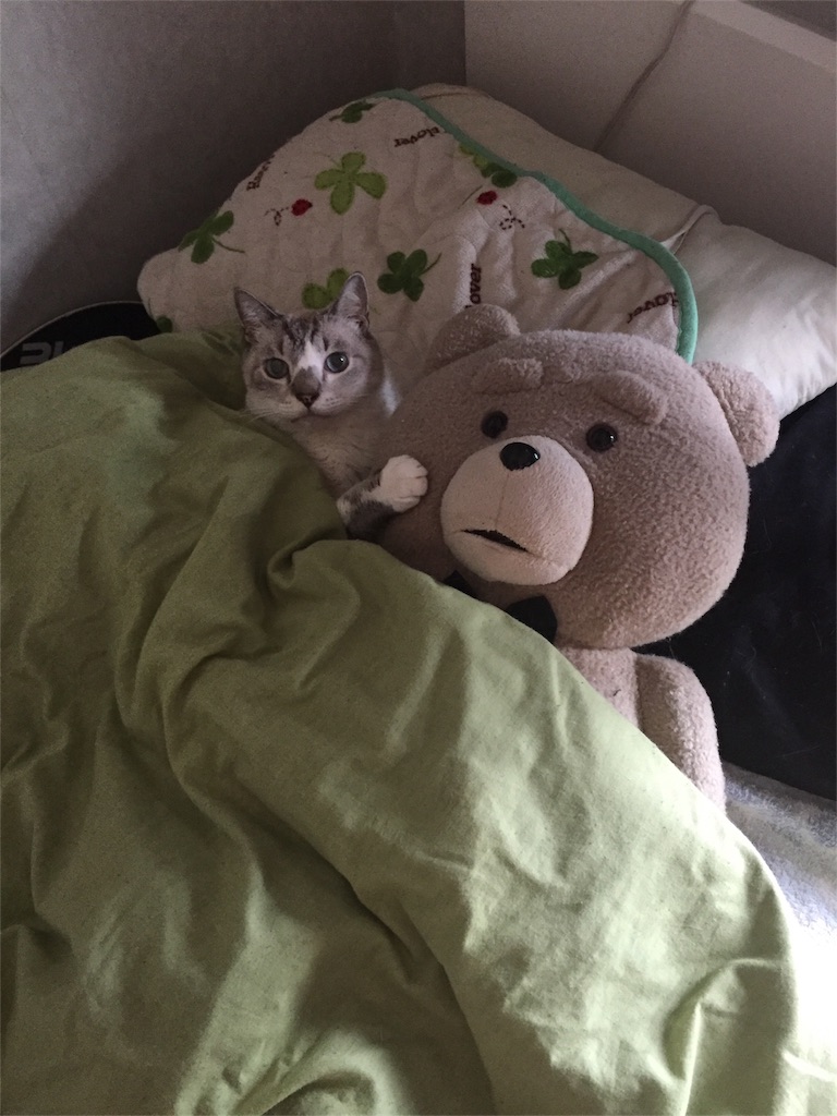 f:id:reijinekomanjyu:20161006010658j:image f:id:reijinekomanjyu:20161006010658j:image