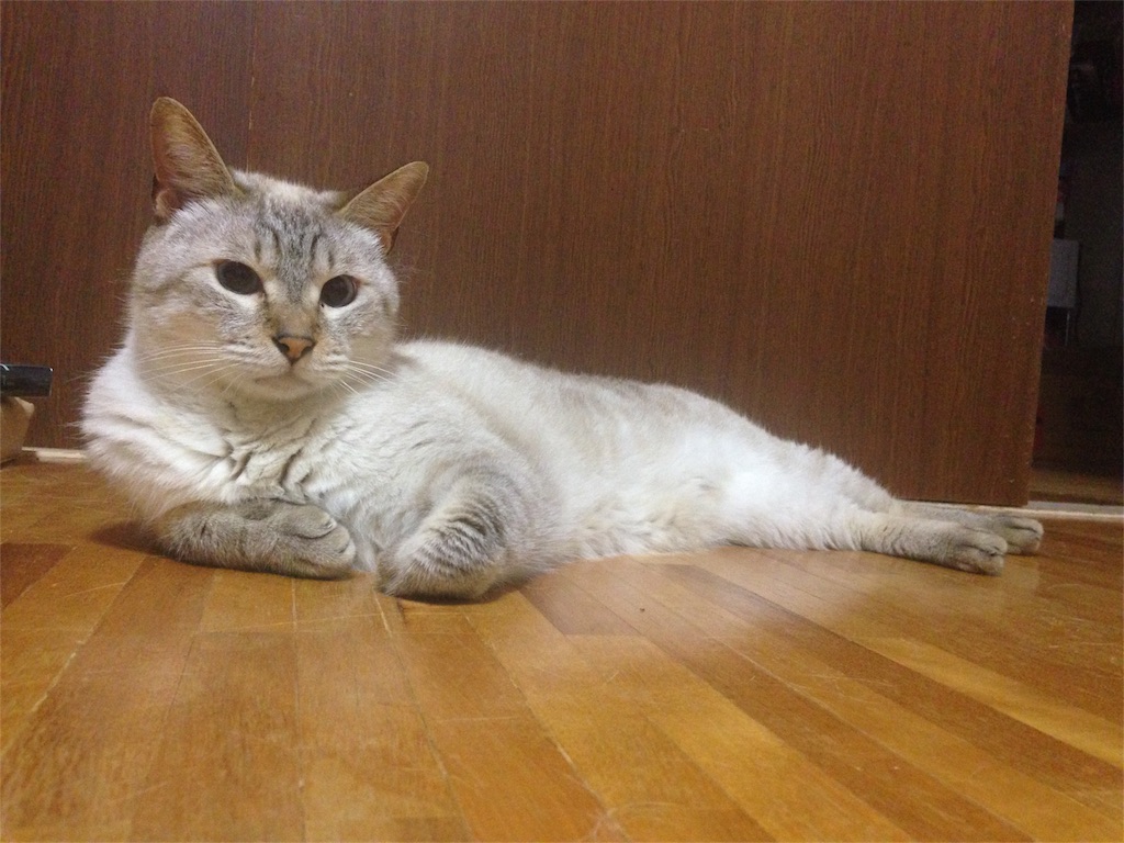 f:id:reijinekomanjyu:20161006100327j:image f:id:reijinekomanjyu:20161006100327j:image
