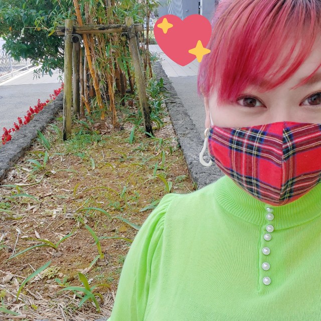 f:id:reika-yamahara:20210306104230j:image f:id:reika-yamahara:20210306104230j:image