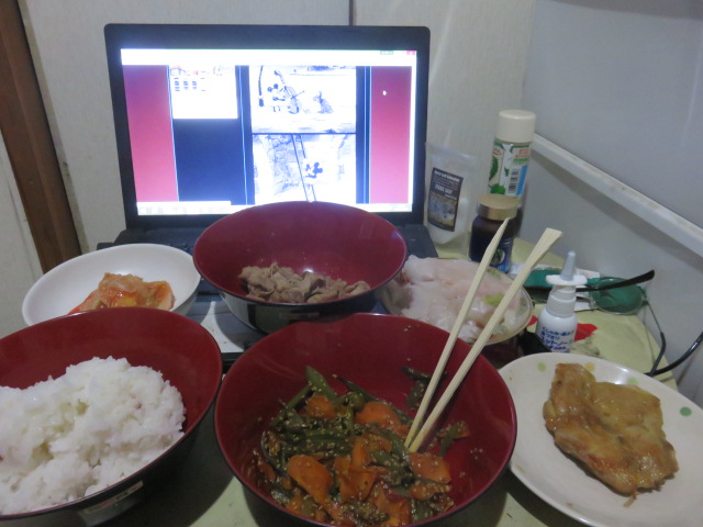手稲山で採った山ウドのキンピラ 近所から貰った柳の舞とソウハチガレイの刺身 食いすぎて眠いｚｚ おやすみ 霊界大師 らすかる国王 眞魚 のブログ ｂｙ惑星ラスカルの日記 ２０１１年