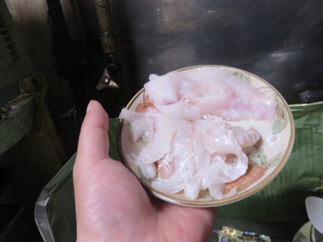 手稲山で採った山ウドのキンピラ 近所から貰った柳の舞とソウハチガレイの刺身 食いすぎて眠いzz おやすみ 霊界大師 らすかる国王 眞魚 のブログ by惑星ラスカルの日記 2011年 手稲山で採った山ウドのキンピラ 近所から貰った柳の舞とソウハチガレイの刺身 食いすぎて眠いzz おやすみ 霊界大師 らすかる国王 眞魚 のブログ by惑星ラスカルの日記 2011年