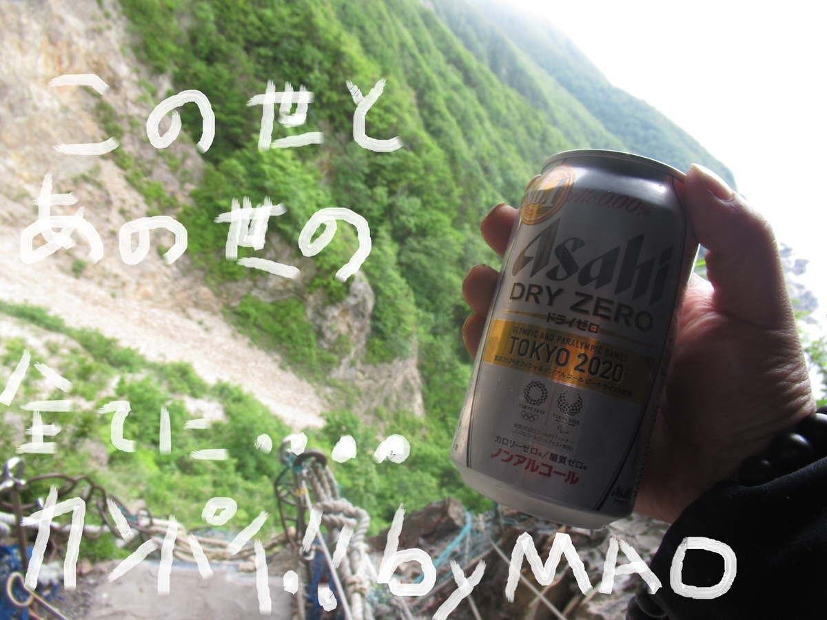 f:id:reikaidaisimao:20201110180047j:plain f:id:reikaidaisimao:20201110180047j:plain
