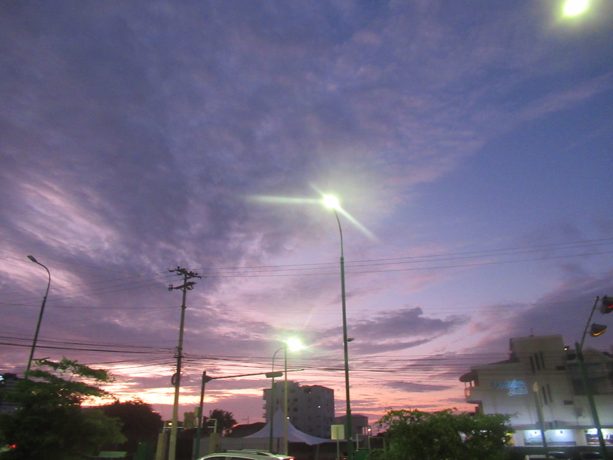 f:id:reikomiyahara:20190514062810j:plain f:id:reikomiyahara:20190514062810j:plain