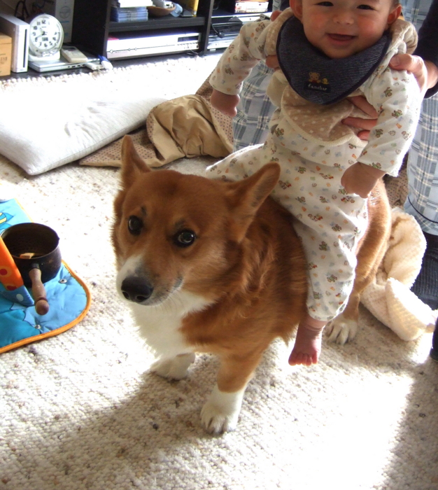 f:id:reikon:20081225094731j:image