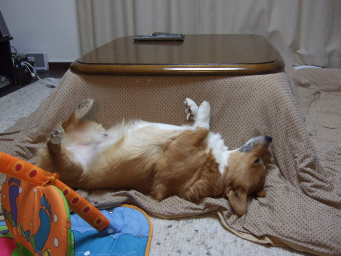 f:id:reikon:20090101121457j:image