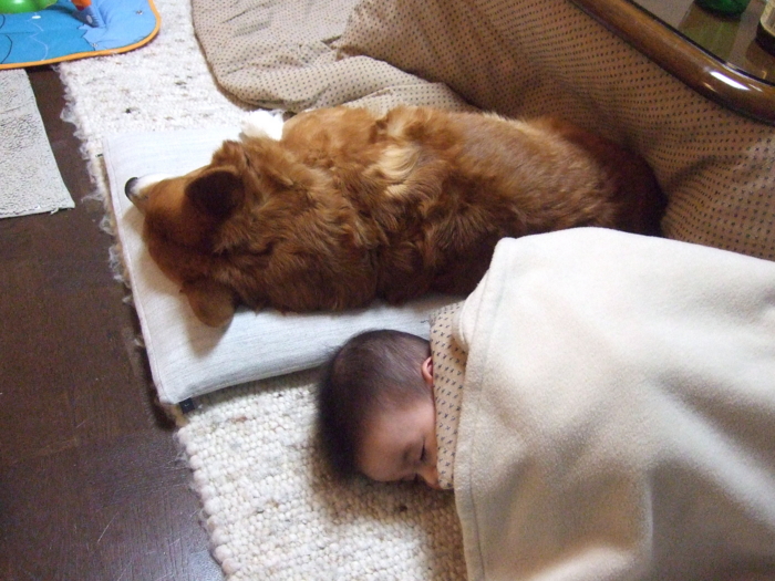 f:id:reikon:20090119001658j:image