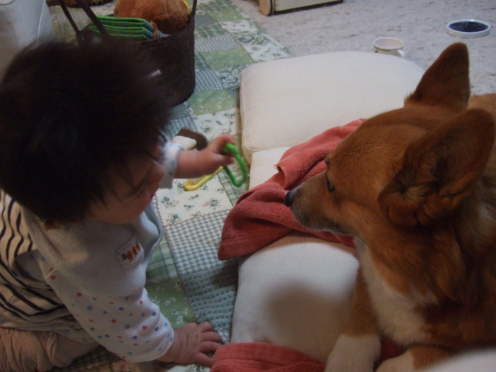 f:id:reikon:20090502004954j:image