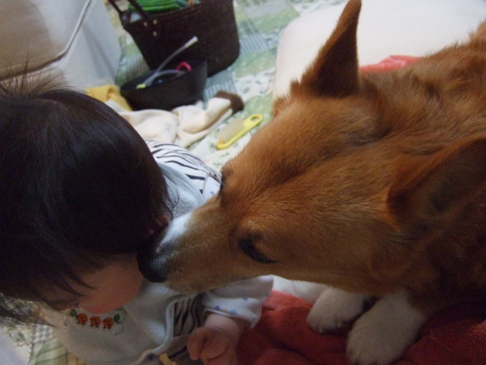 f:id:reikon:20090502004955j:image