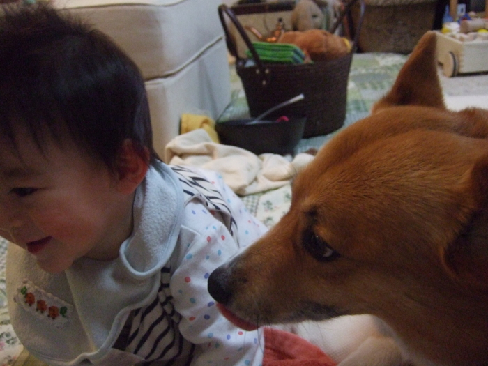 f:id:reikon:20090502005149j:image