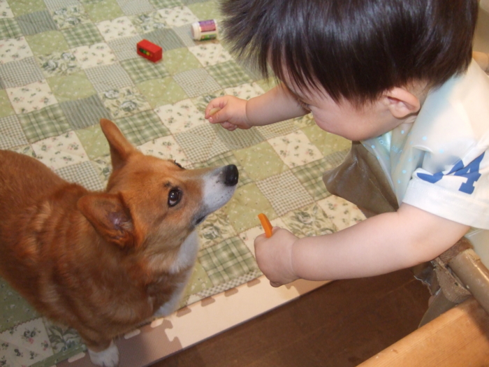 f:id:reikon:20090609135452j:image