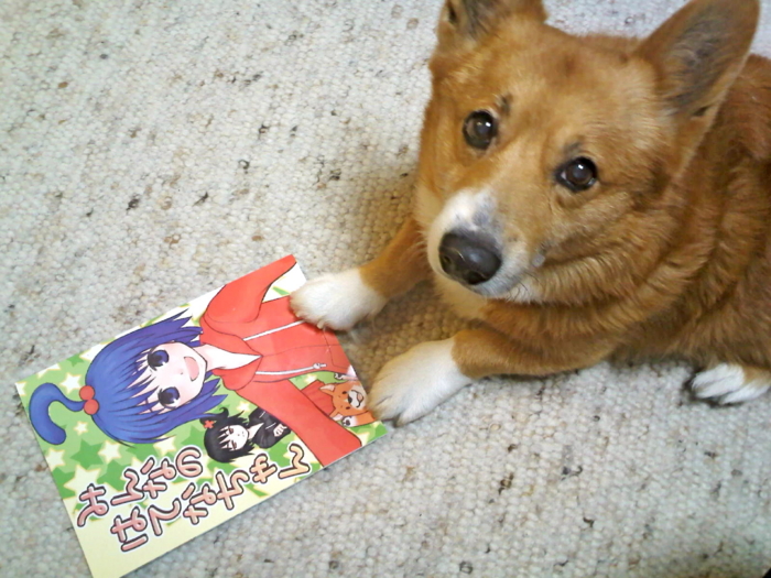 f:id:reikon:20100408223817j:image:w380